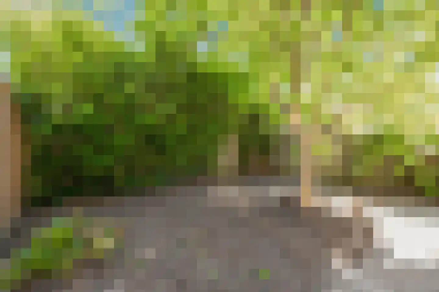 Graan voor Visch 15913 Hoofddorp thumbnail 14