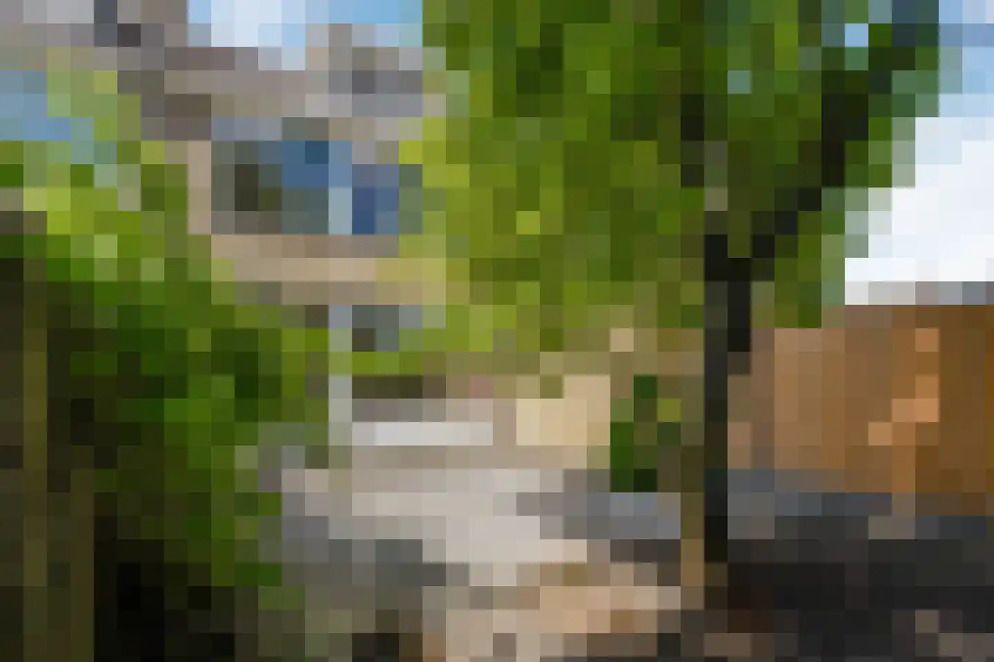 Graan voor Visch 15913 Hoofddorp thumbnail 15