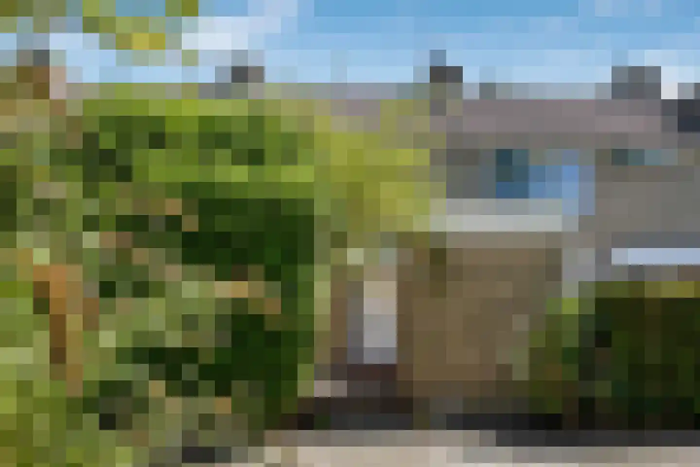 Graan voor Visch 15913 Hoofddorp thumbnail 30
