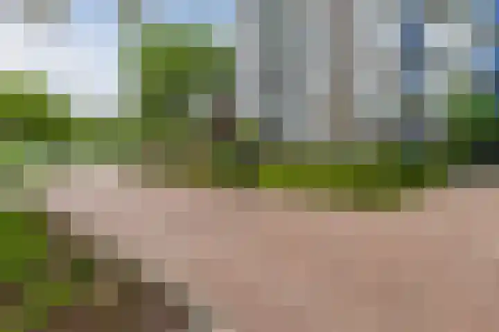 Graan voor Visch 16103 Hoofddorp thumbnail 10