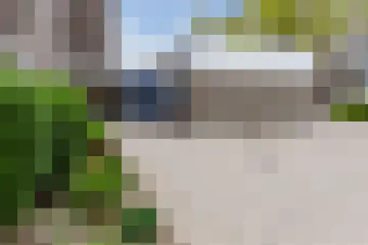 Graan voor Visch 16103 Hoofddorp thumbnail 11