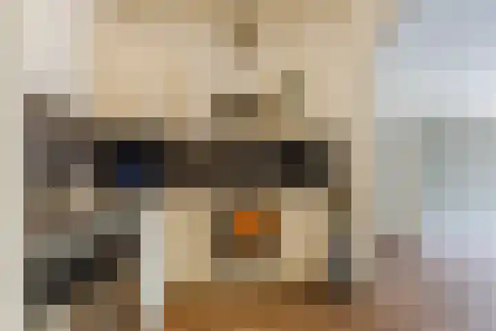 Graan voor Visch 16103 Hoofddorp thumbnail 19
