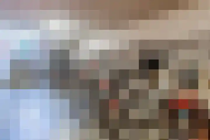 Graan voor Visch 16103 Hoofddorp thumbnail 26