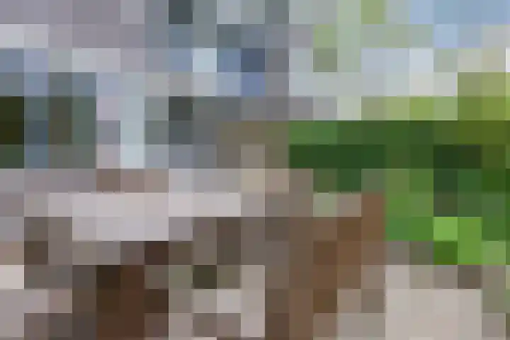 Graan voor Visch 16103 Hoofddorp thumbnail 28