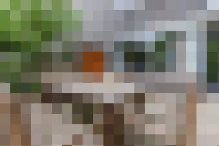 Graan voor Visch 16103 Hoofddorp thumbnail 29