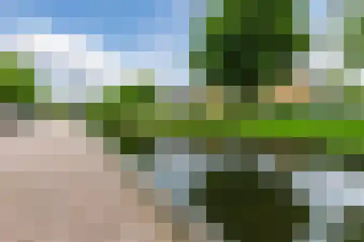 Graan voor Visch 16103 Hoofddorp thumbnail 30