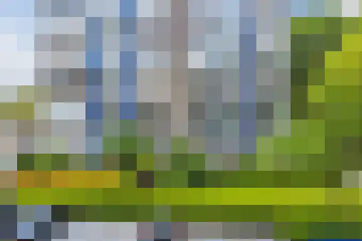 Graan voor Visch 16103 Hoofddorp thumbnail 31