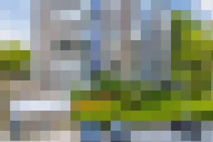 Graan voor Visch 16103 Hoofddorp thumbnail 32