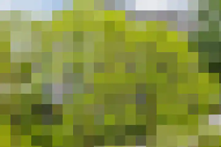 Graan voor Visch 16103 Hoofddorp thumbnail 33