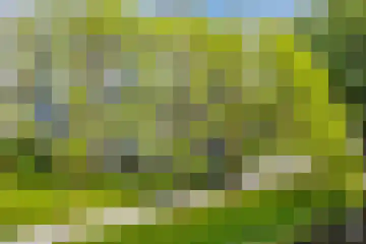 Graan voor Visch 16103 Hoofddorp thumbnail 34