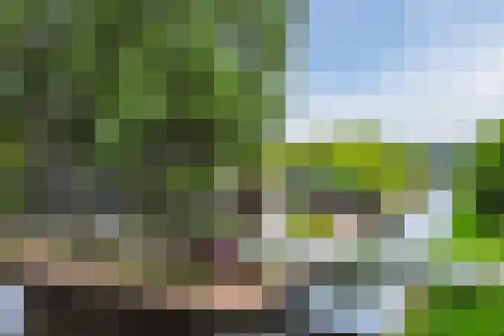 Graan voor Visch 16103 Hoofddorp thumbnail 35