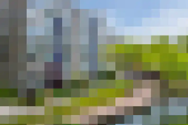 Graan voor Visch 16103 Hoofddorp thumbnail 4