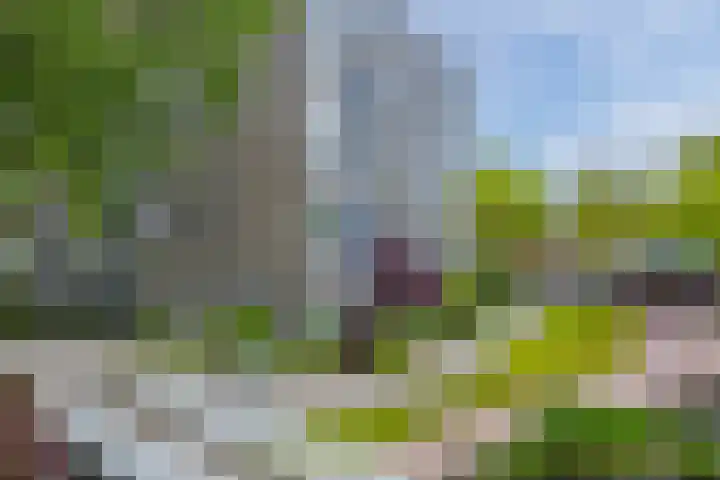 Graan voor Visch 16103 Hoofddorp thumbnail 5