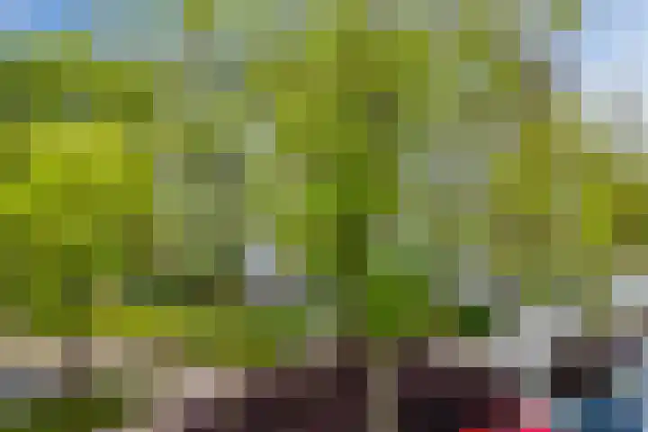 Graan voor Visch 16103 Hoofddorp thumbnail 6