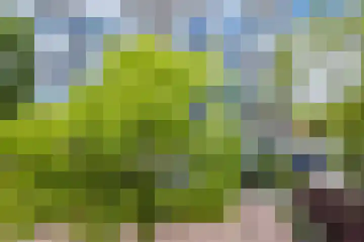 Graan voor Visch 16103 Hoofddorp thumbnail 7
