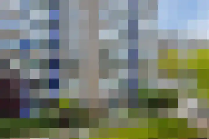 Graan voor Visch 16103 Hoofddorp thumbnail 8