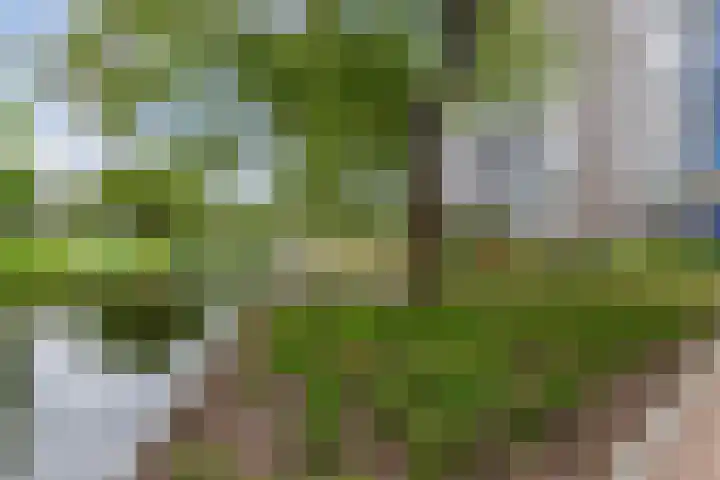 Graan voor Visch 16103 Hoofddorp thumbnail 9