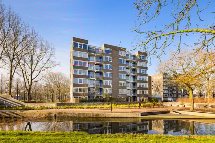Graan voor Visch 16127 en Hoofddorp foto