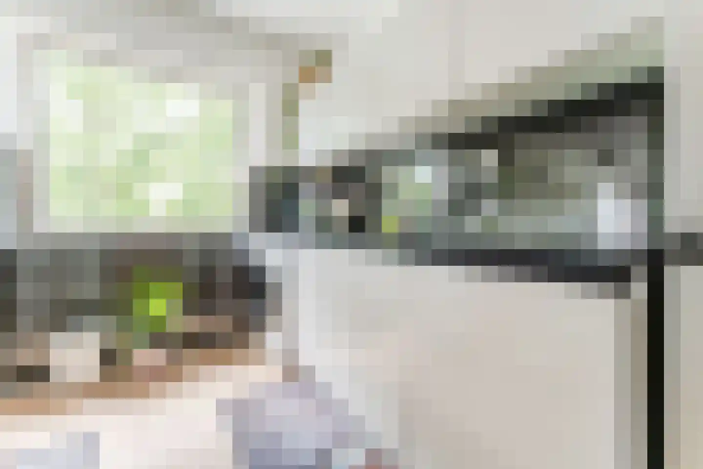 Graan voor Visch 16135 Hoofddorp thumbnail 13
