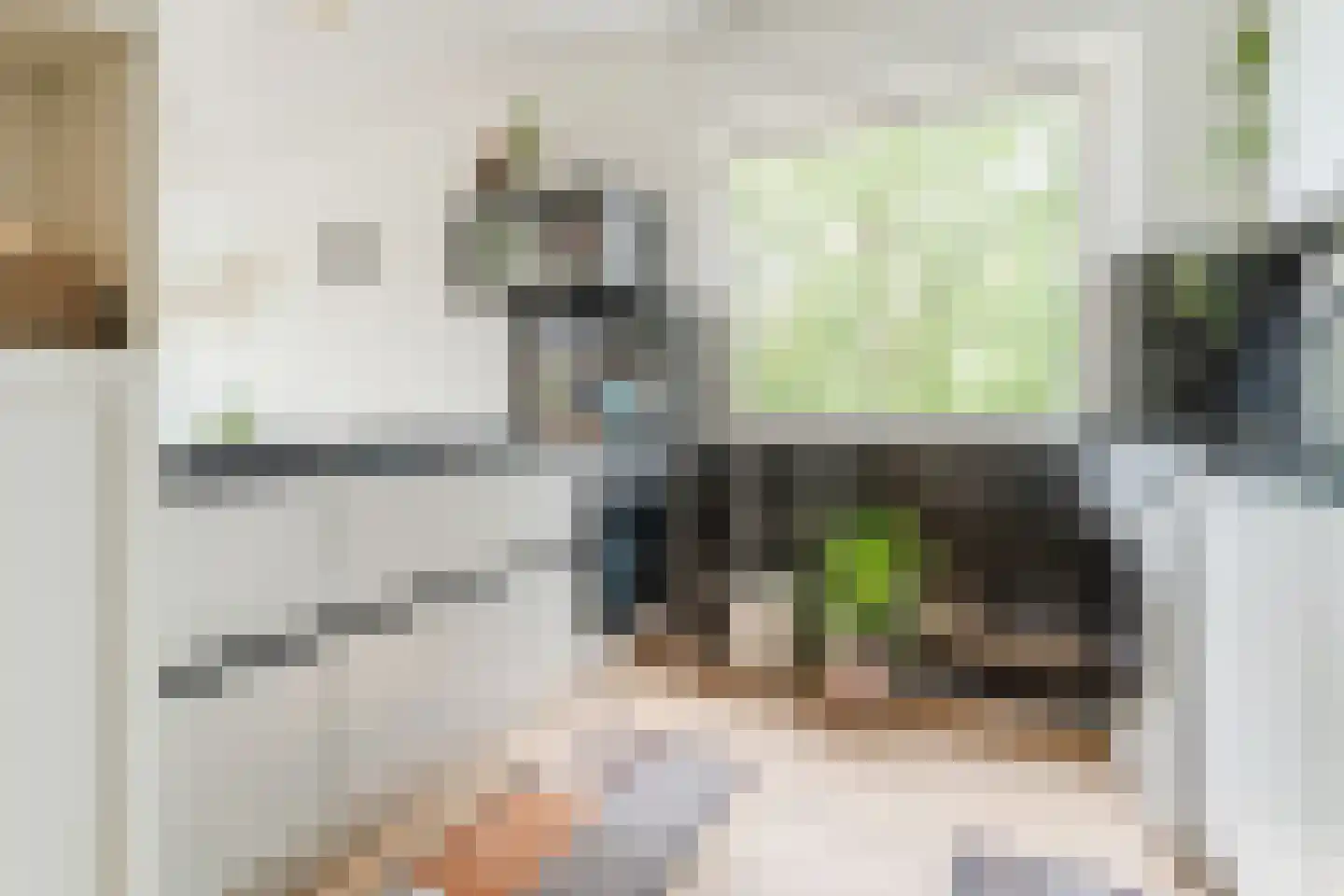 Graan voor Visch 16135 Hoofddorp thumbnail 16
