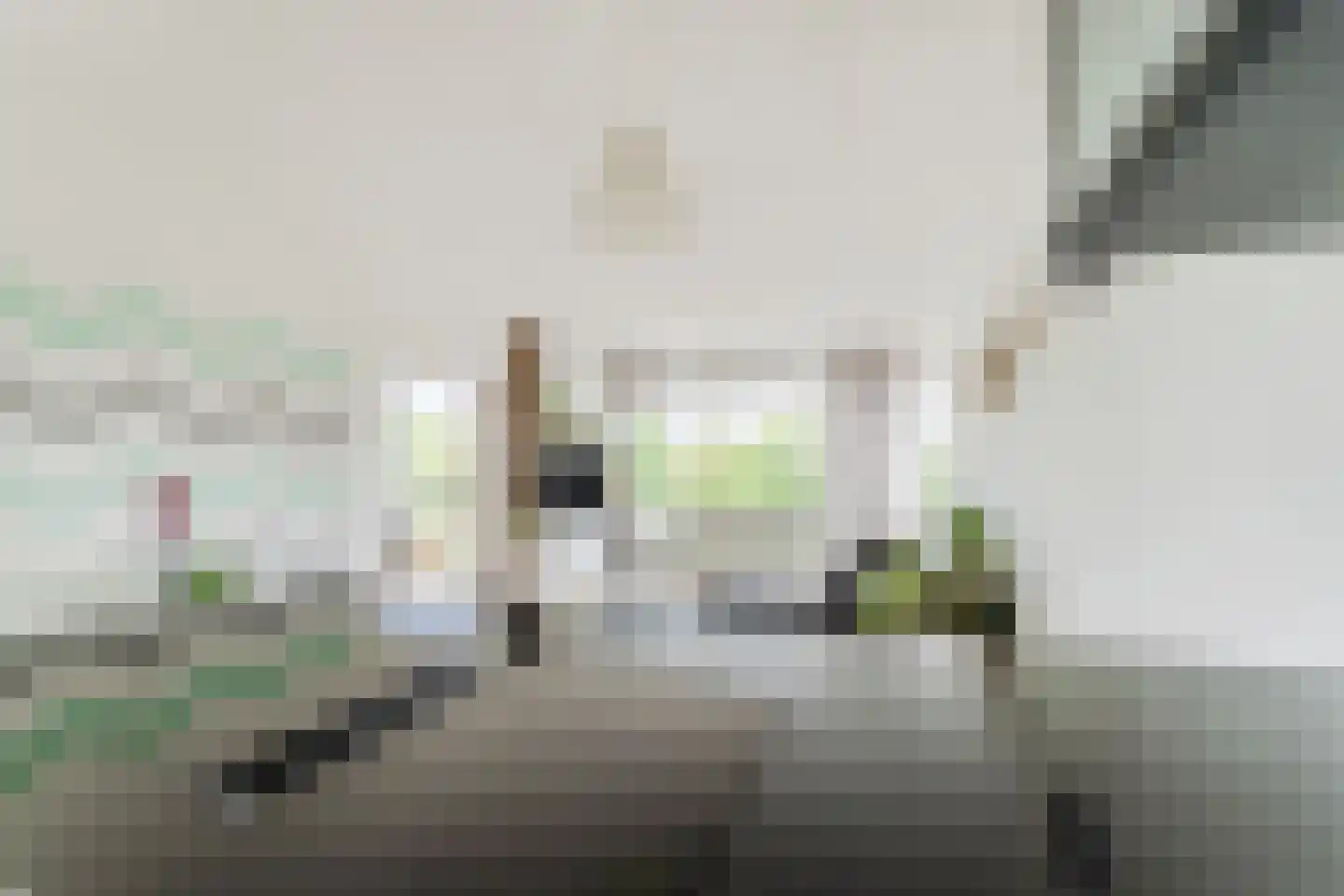 Graan voor Visch 16135 Hoofddorp thumbnail 17