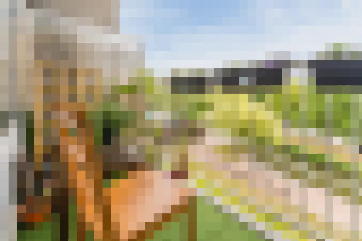 Graan voor Visch 16135 Hoofddorp thumbnail 28
