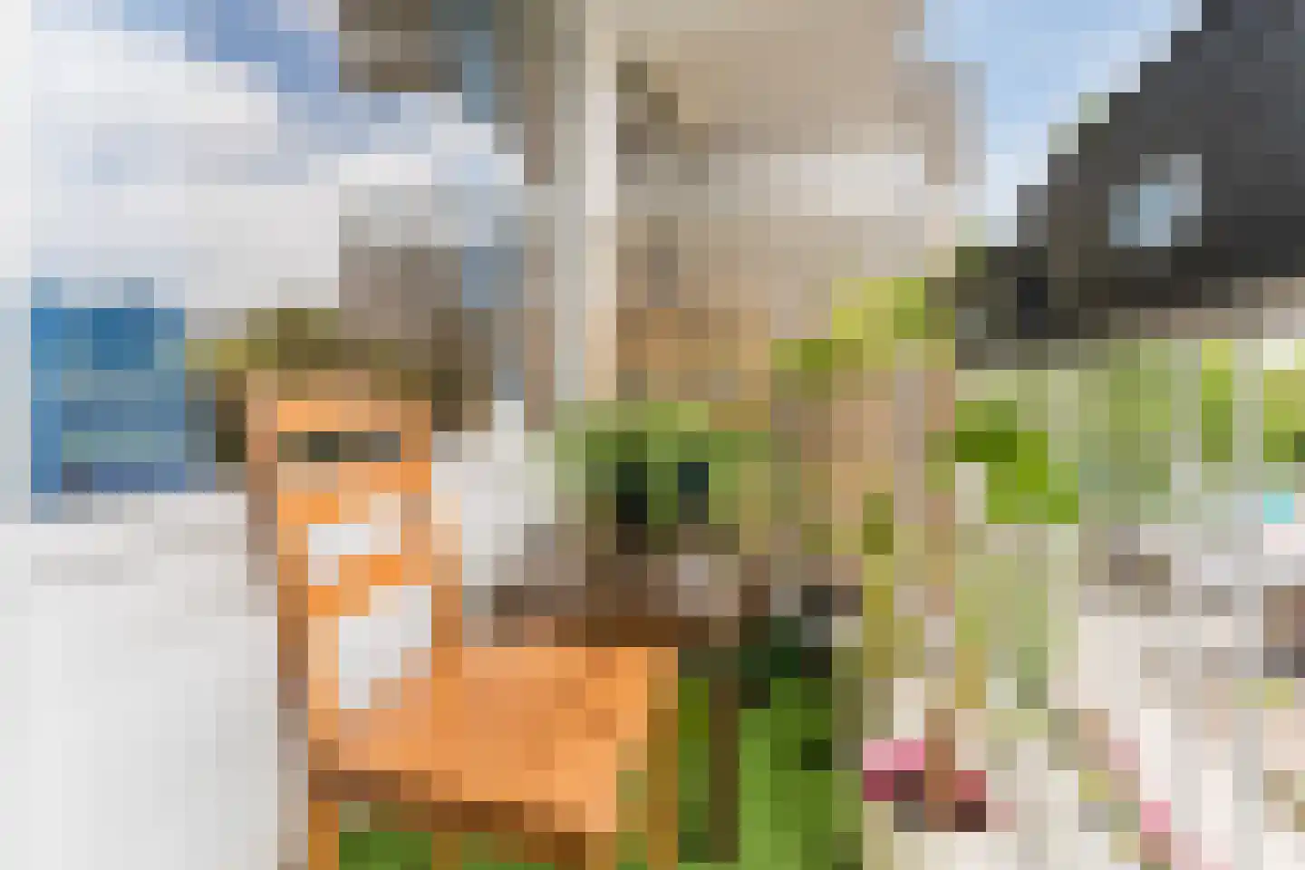 Graan voor Visch 16135 Hoofddorp thumbnail 29