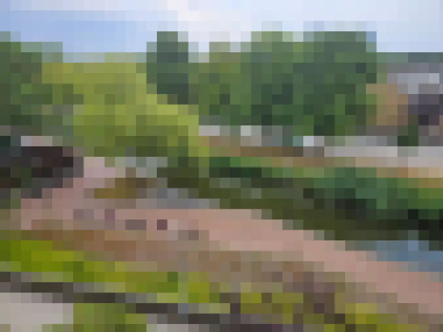 Graan voor Visch 16135 Hoofddorp thumbnail 30