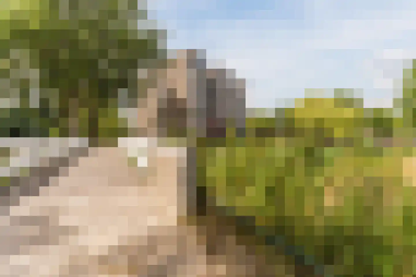 Graan voor Visch 16135 Hoofddorp thumbnail 38