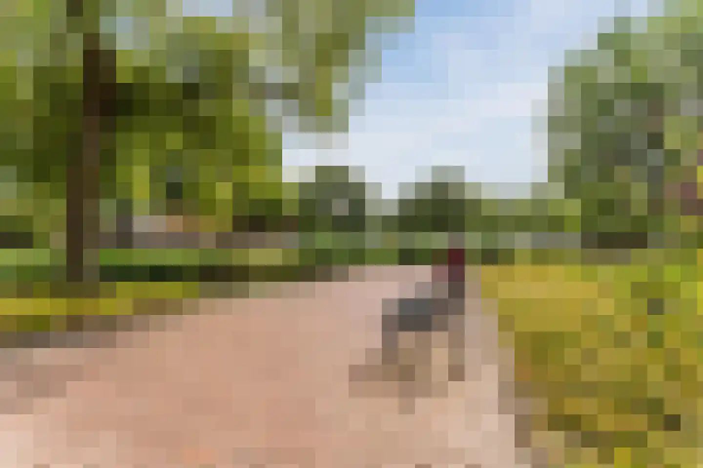 Graan voor Visch 16135 Hoofddorp thumbnail 39
