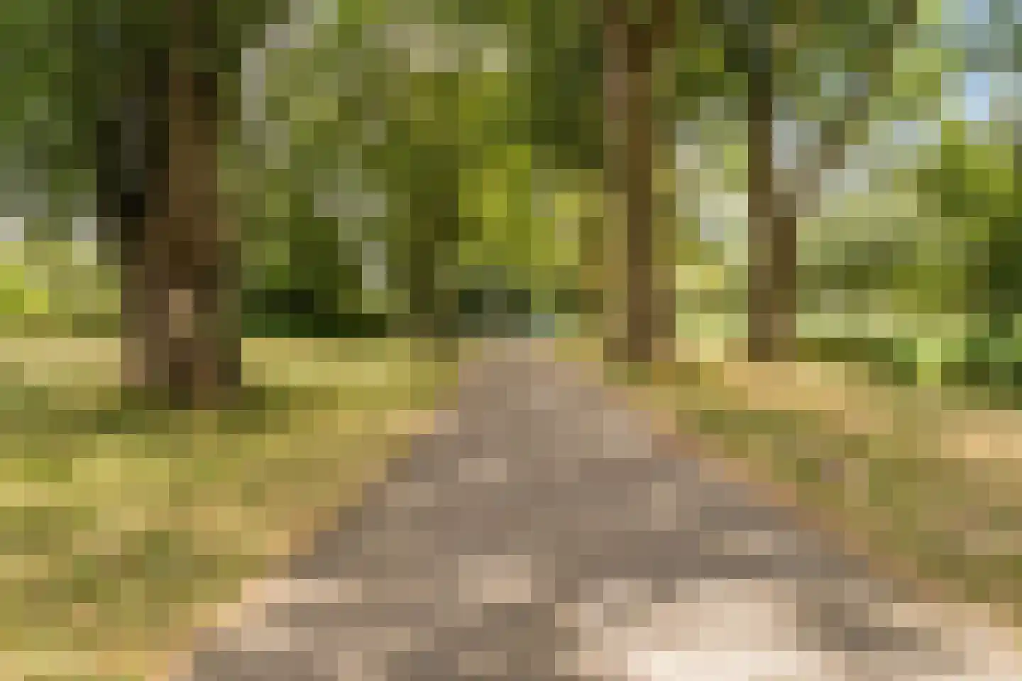 Graan voor Visch 16135 Hoofddorp thumbnail 41