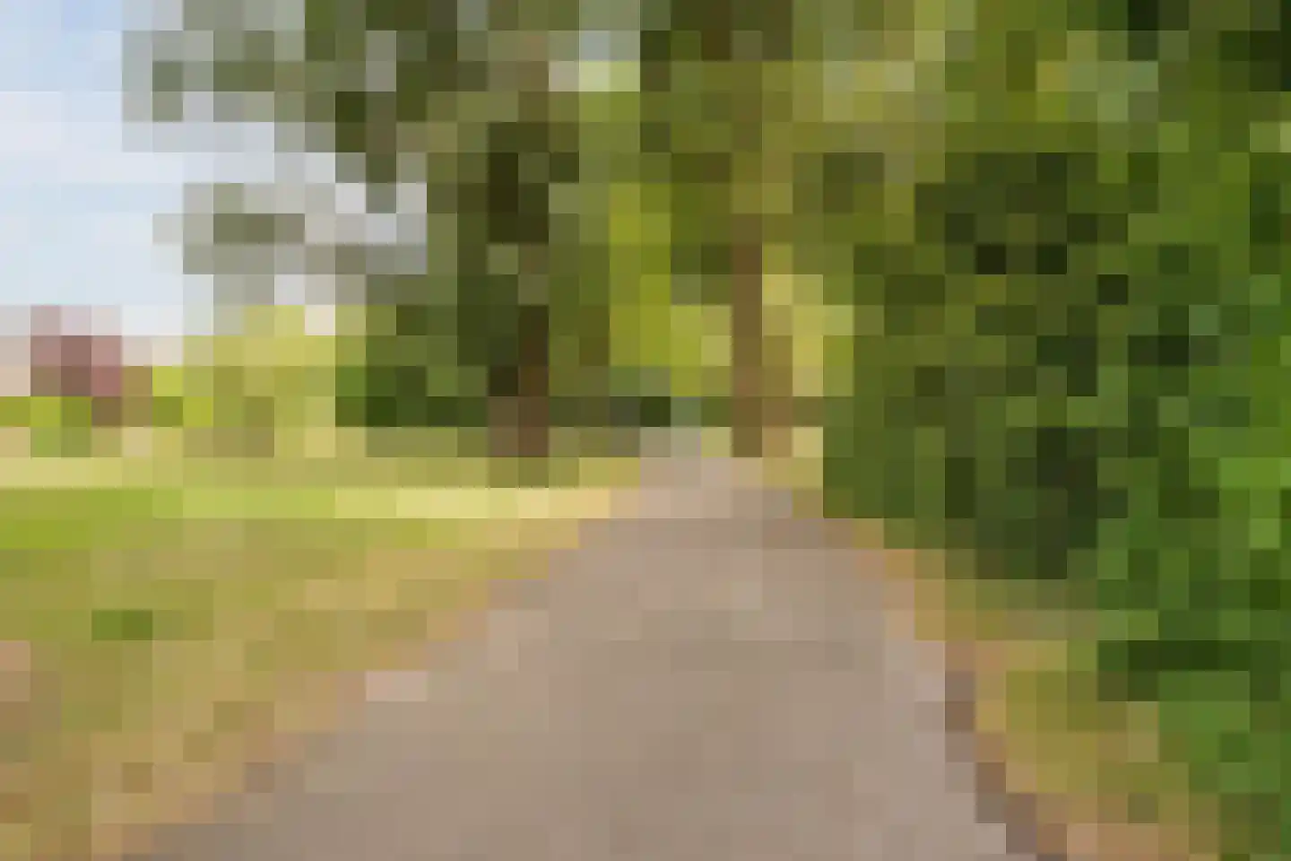 Graan voor Visch 16135 Hoofddorp thumbnail 41