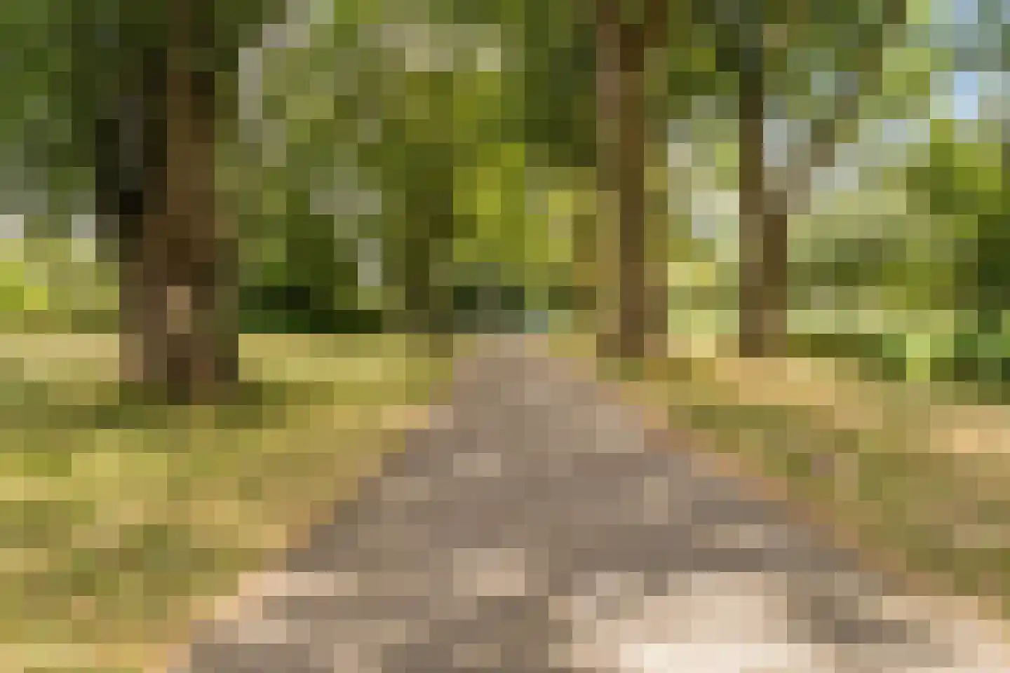 Graan voor Visch 16135 Hoofddorp thumbnail 42