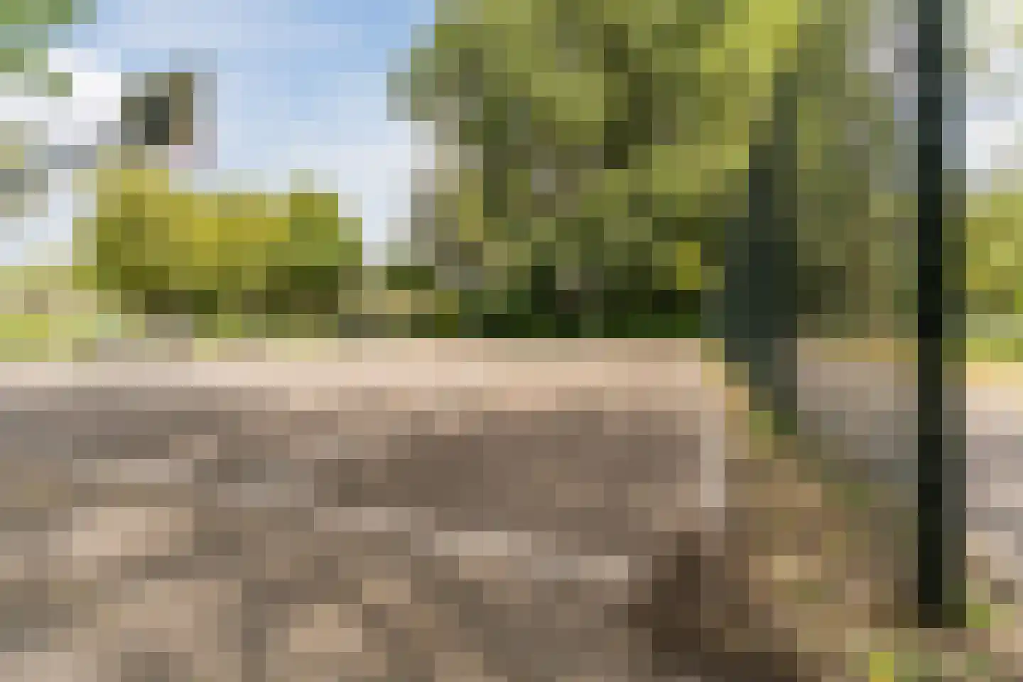 Graan voor Visch 16135 Hoofddorp thumbnail 42