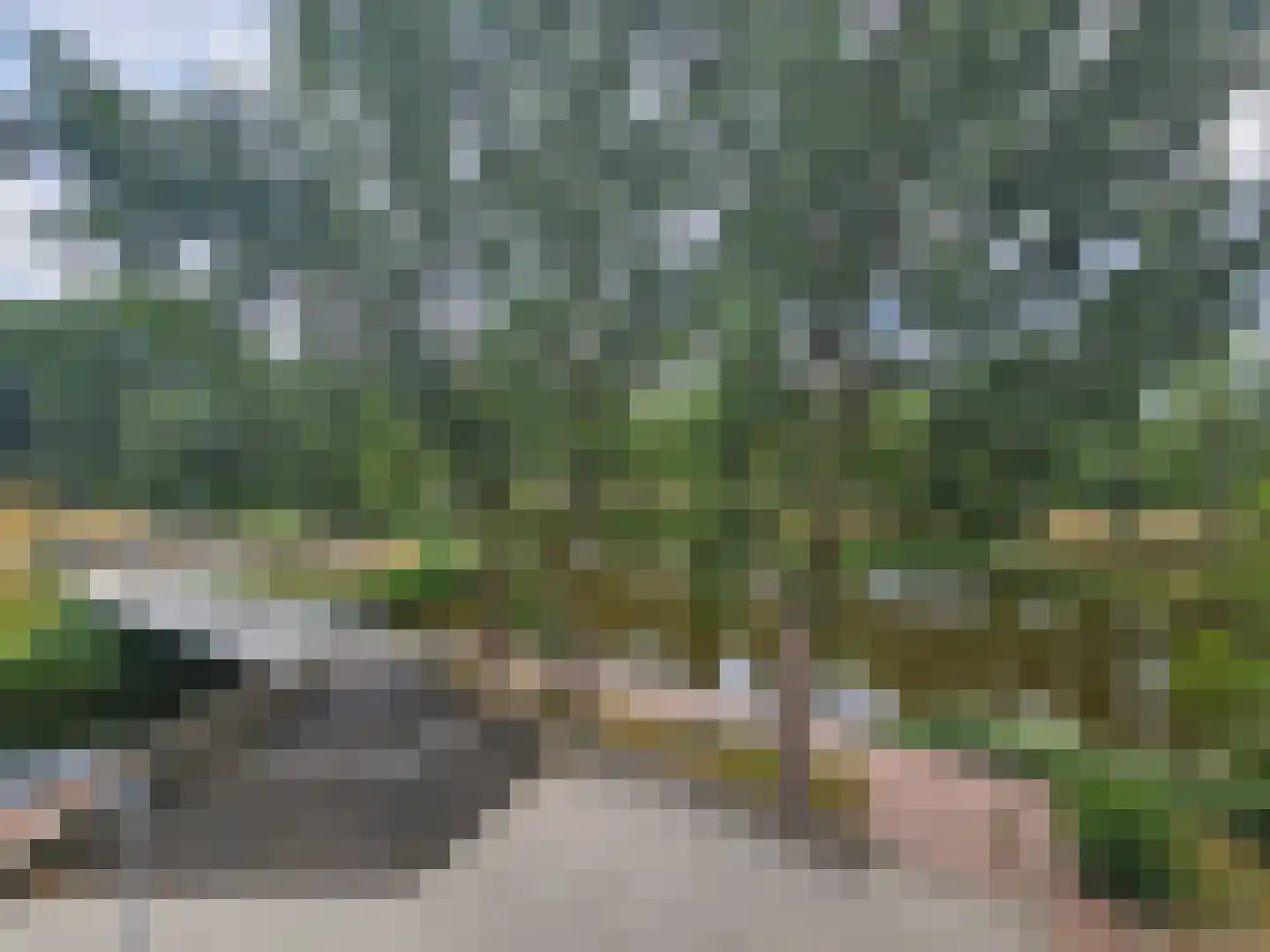 Graan voor Visch 16135 Hoofddorp thumbnail 46