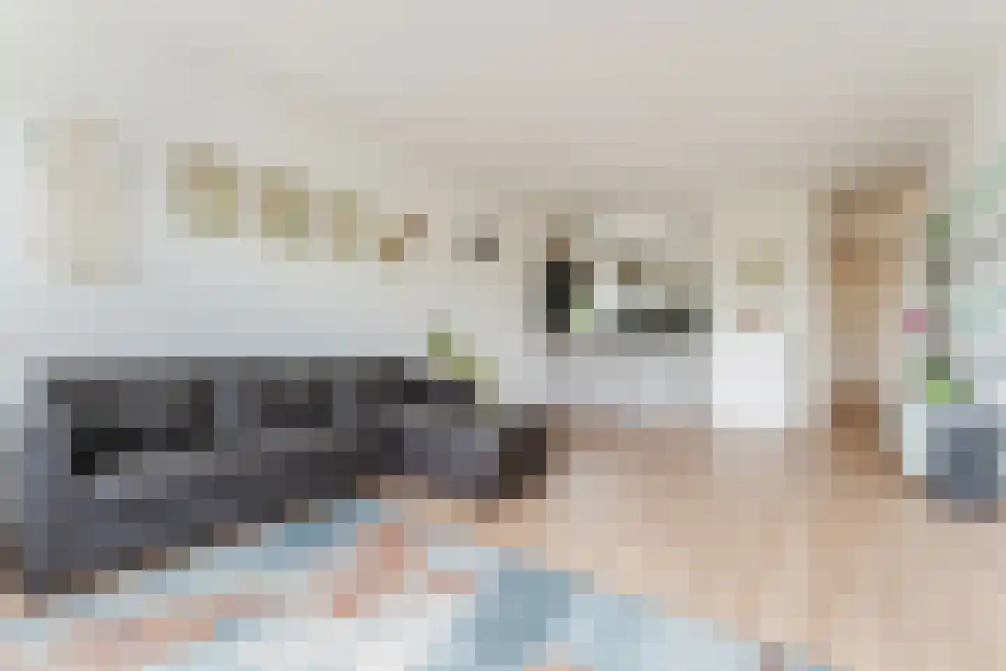 Graan voor Visch 16135 Hoofddorp thumbnail 8