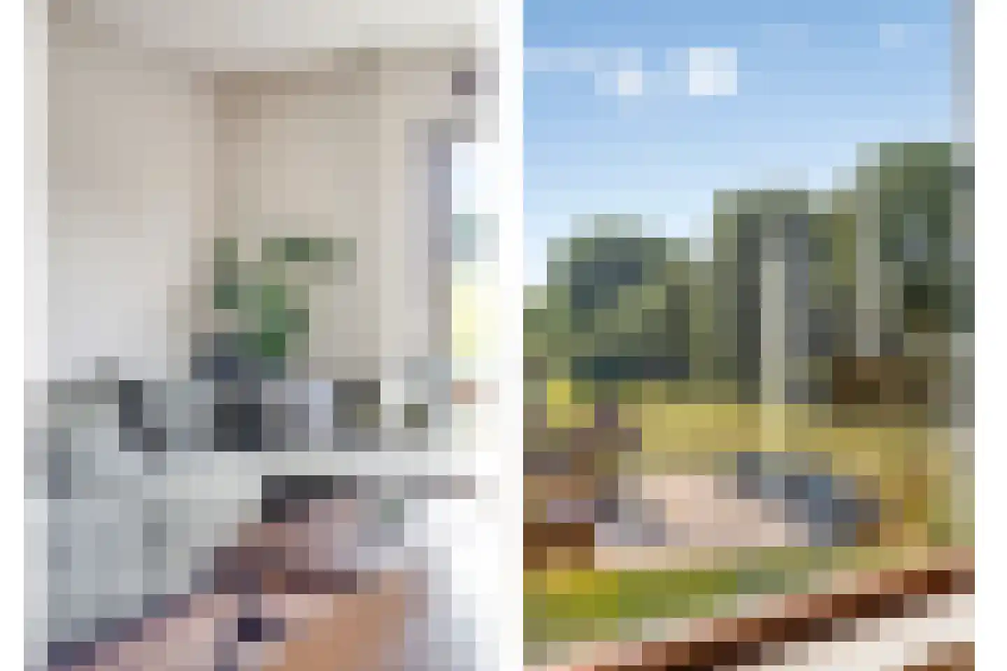 Graan voor Visch 16136 Hoofddorp thumbnail 11
