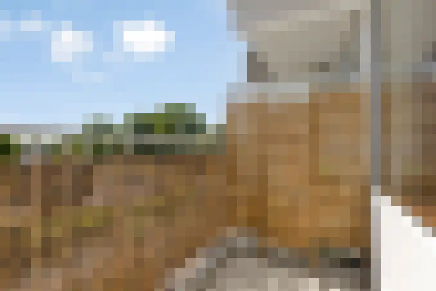 Graan voor Visch 16136 Hoofddorp thumbnail 21
