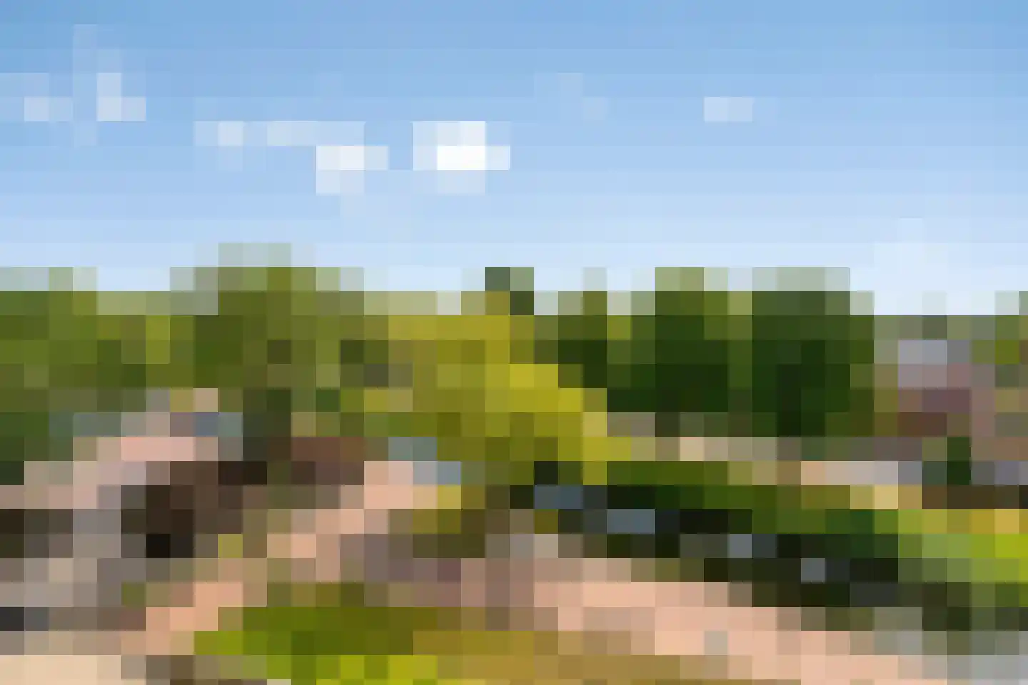 Graan voor Visch 16136 Hoofddorp thumbnail 22
