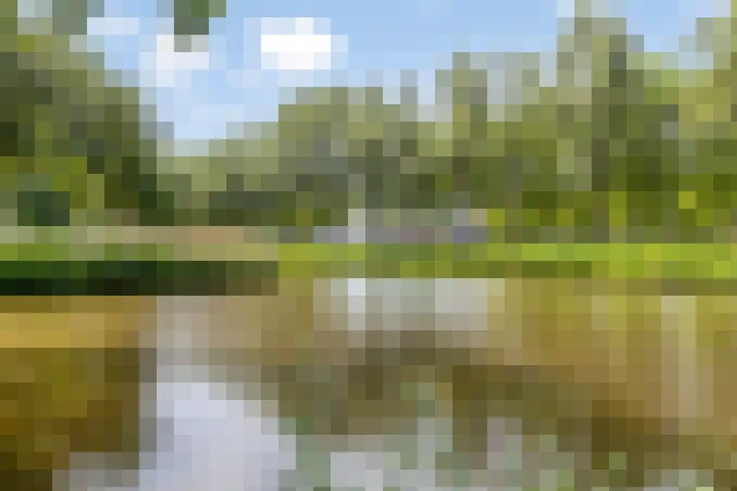 Graan voor Visch 16136 Hoofddorp thumbnail 24