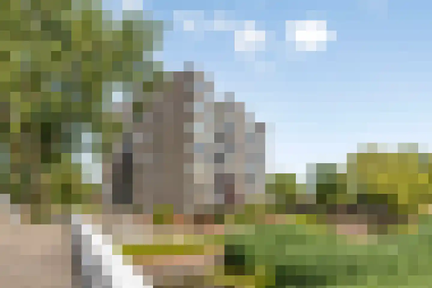 Graan voor Visch 16136 Hoofddorp thumbnail 25