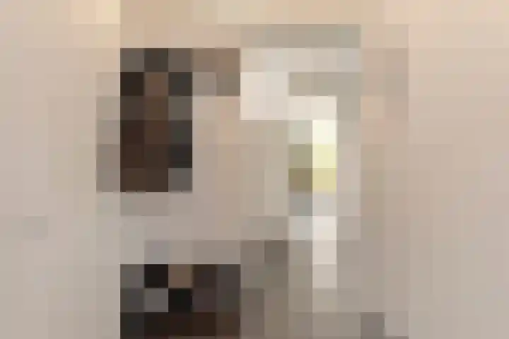 Graan voor Visch 16147 Hoofddorp thumbnail 16