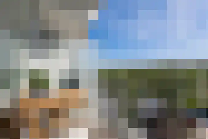 Graan voor Visch 16147 Hoofddorp thumbnail 21
