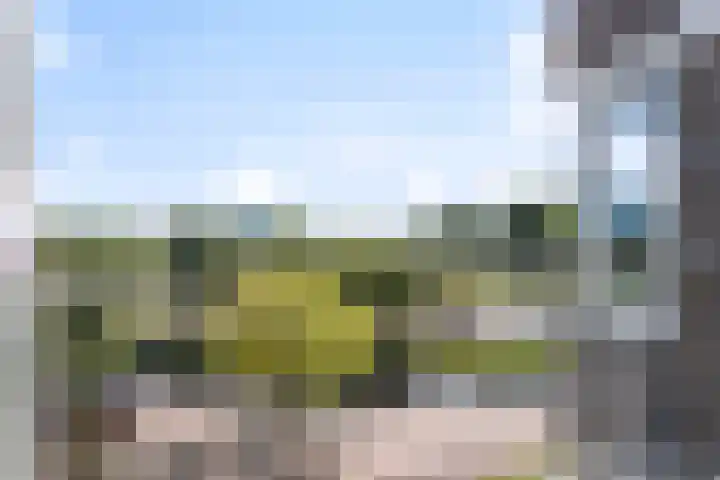 Graan voor Visch 16147 Hoofddorp thumbnail 22