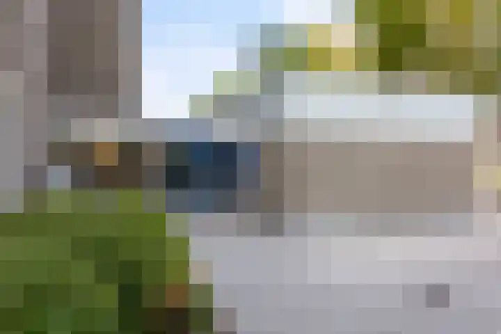 Graan voor Visch 16147 Hoofddorp thumbnail 23