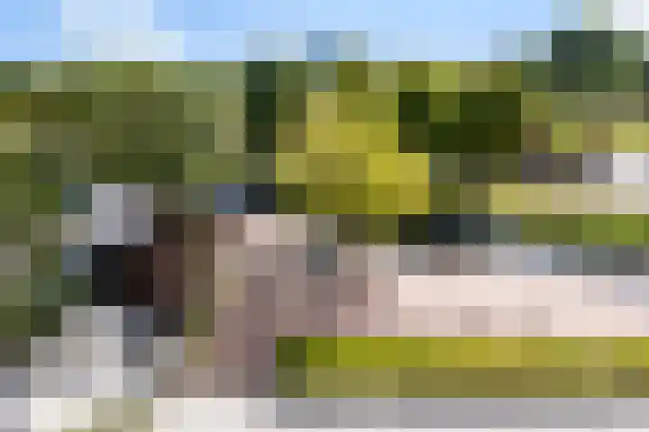 Graan voor Visch 16147 Hoofddorp thumbnail 24
