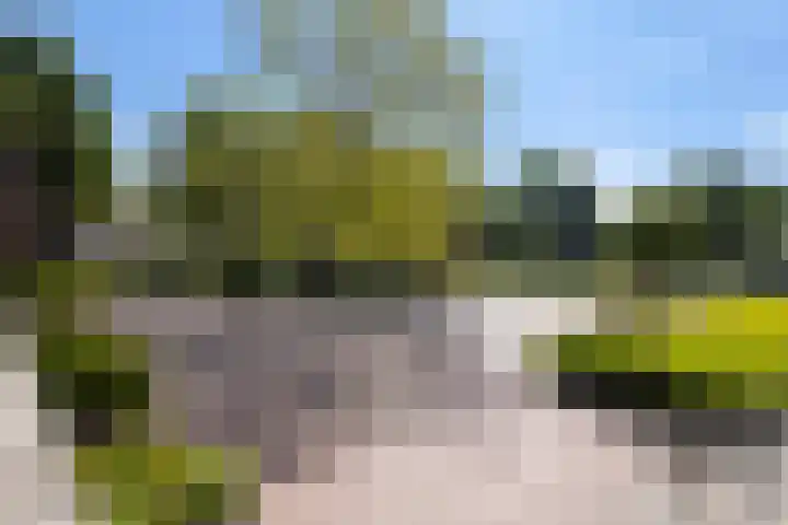 Graan voor Visch 16147 Hoofddorp thumbnail 25