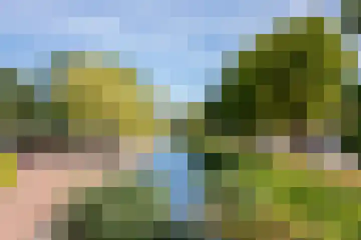 Graan voor Visch 16147 Hoofddorp thumbnail 26
