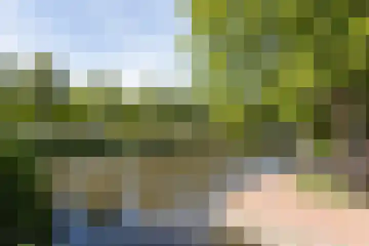 Graan voor Visch 16147 Hoofddorp thumbnail 27