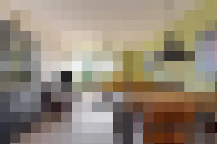 Graan voor Visch 16147 Hoofddorp thumbnail 5